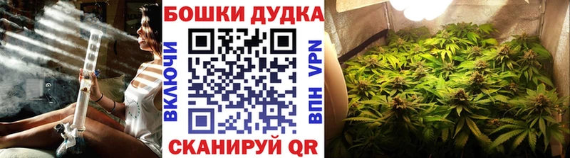 Где купить наркоту Новоржев Альфа ПВП  Меф мяу мяу  Гашиш  МАРИХУАНА 