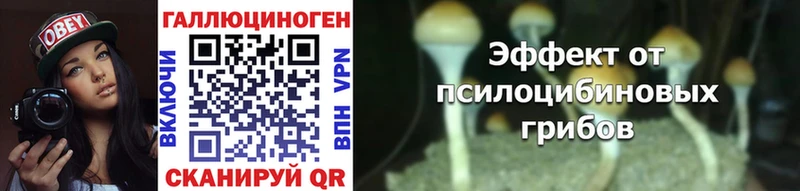 Псилоцибиновые грибы мицелий  Новоржев 