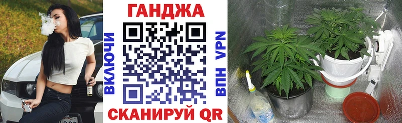 это телеграм  ОМГ ОМГ как войти  Конопля ГИДРОПОН  Новоржев  где купить  